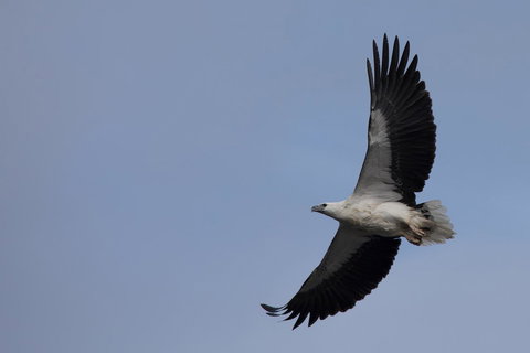 Arthur Riverfront And Sea Lodge Downstream - Events Australia 37