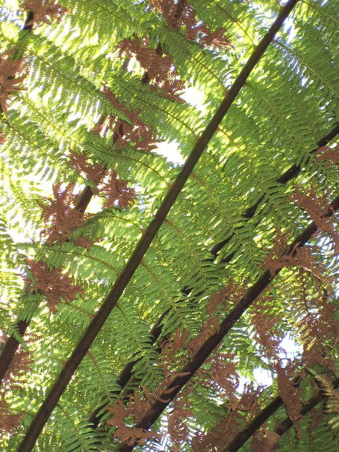 Arthur Riverfront And Sea Lodge Downstream - Events Australia 31