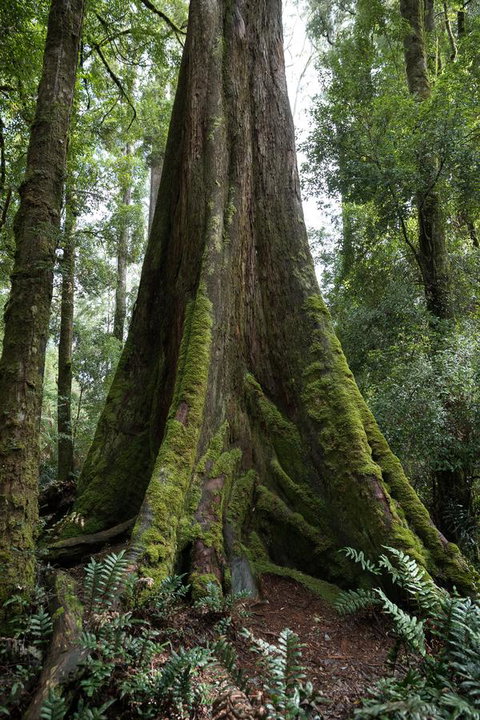 Arthur Riverfront And Sea Lodge Downstream - Events Australia 33