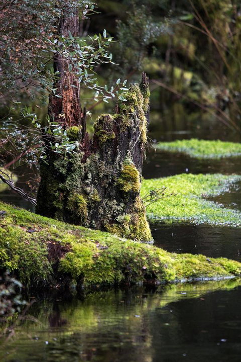 Arthur Riverfront And Sea Lodge Downstream - Events Australia 30