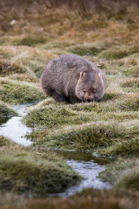 Arthur Riverfront And Sea Lodge Downstream - Events Australia 40