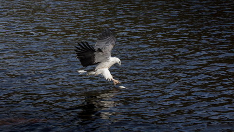 Arthur Riverfront And Sea Lodge Downstream - Events Australia 38