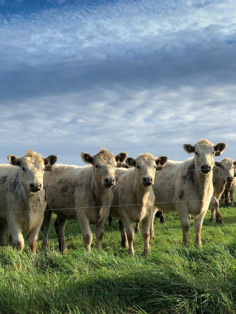 Arthur Riverfront And Sea Lodge Downstream - Events Australia 43