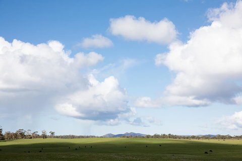 Arthur Riverfront And Sea Lodge Downstream - Events Australia 44