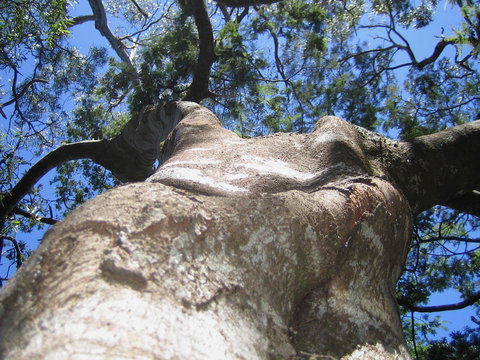 Arthur Riverfront And Sea Lodge Downstream - Events Australia 32