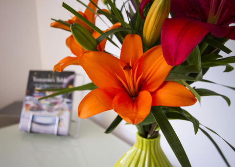 Bellerive Marina View Apartments No 28 - Events Australia 17