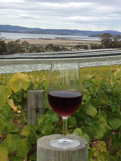 Bellerive Marina View Apartments No 28 - Events Australia 31