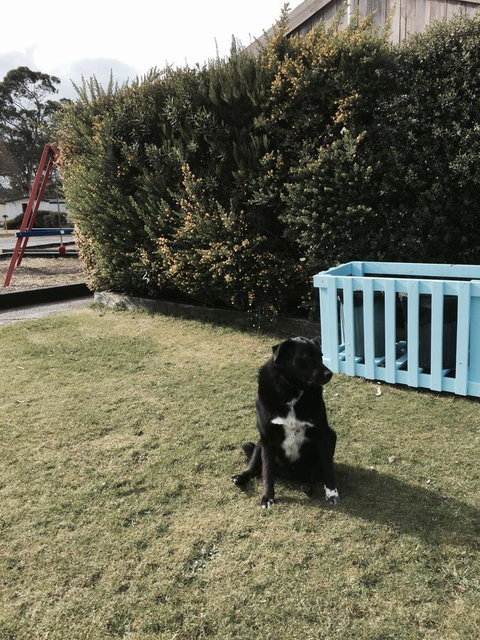 Strahan Beach Tourist Park - Accommodation Europe 9