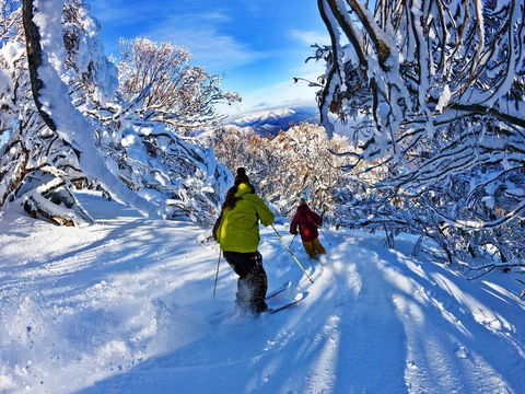 Buller Central Hotel - Tourism Bookings 13