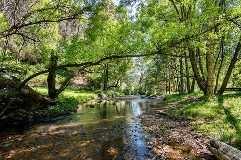 Avalon House - Accommodation Europe 7