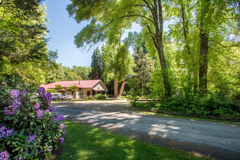 Avalon House - Accommodation Europe 0