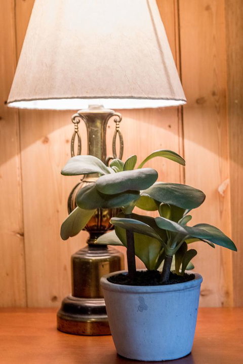 Avalon House - Accommodation Europe 41