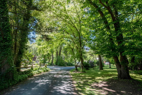 Avalon House - Accommodation Europe 23