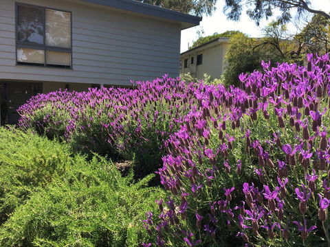 Kookas Retreat - Events Australia 14