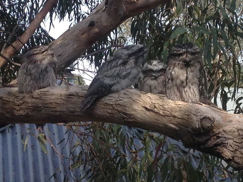 Kookas Retreat - Events Australia 15