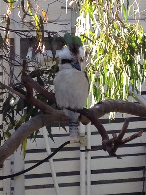 Kookas Retreat - Events Australia 16