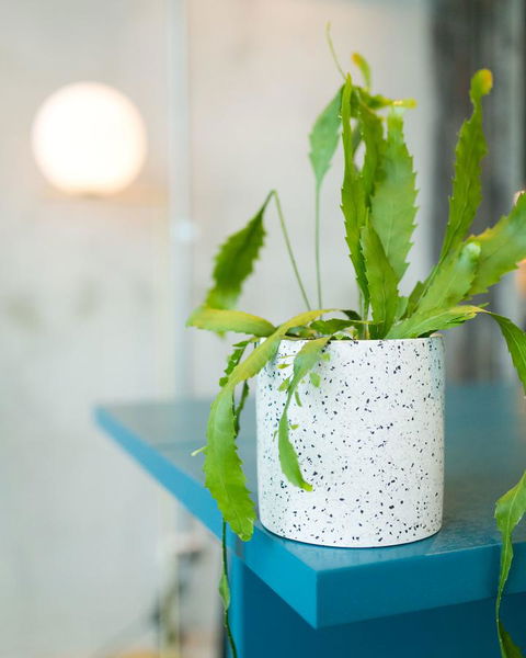 Sage Melbourne Ringwood - Events Australia 36