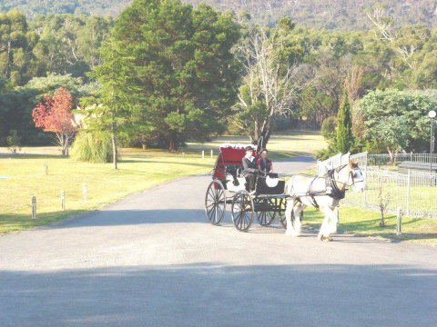 The Grampians Motel - Tourism Bookings 24