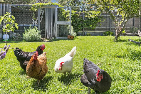 Bilinga Cottages - Events Australia 16