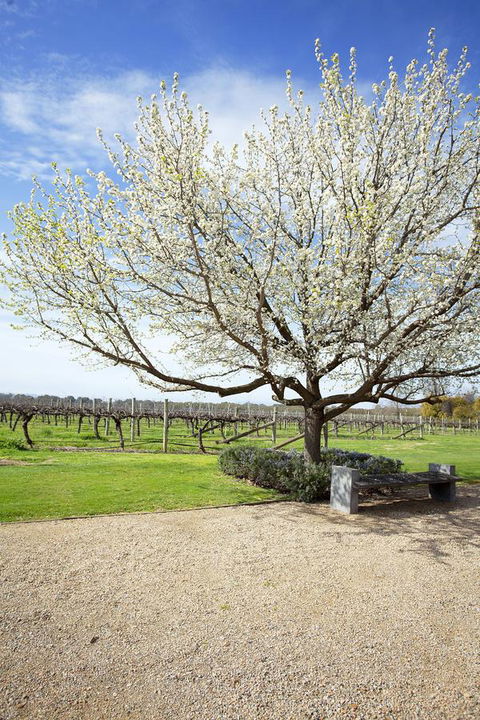 Lancemore Milawa - Events Australia 12