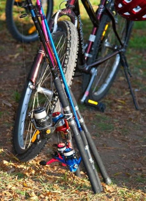 Marysville Caravan And Holiday Park - Events Australia 29