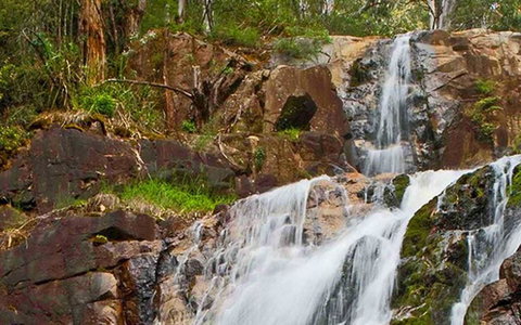 Marysville Caravan And Holiday Park - Events Australia 37