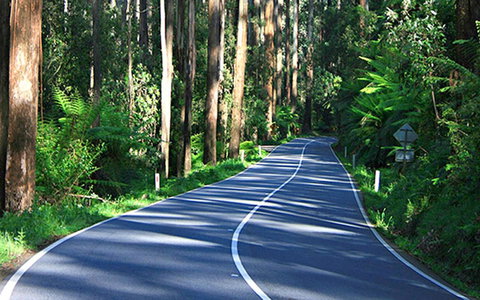 Marysville Caravan And Holiday Park - Events Australia 40