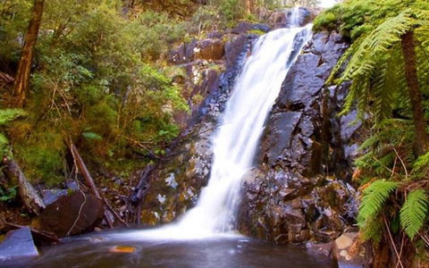 Marysville Caravan And Holiday Park - Events Australia 32