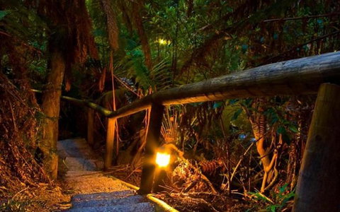 Marysville Caravan And Holiday Park - Events Australia 27