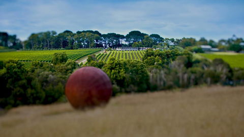 Nautique Beach House - Tourism Bookings 25