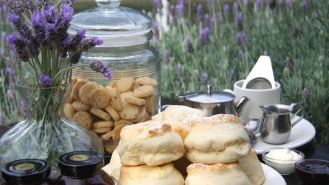 Nautique Beach House - Tourism Bookings 16