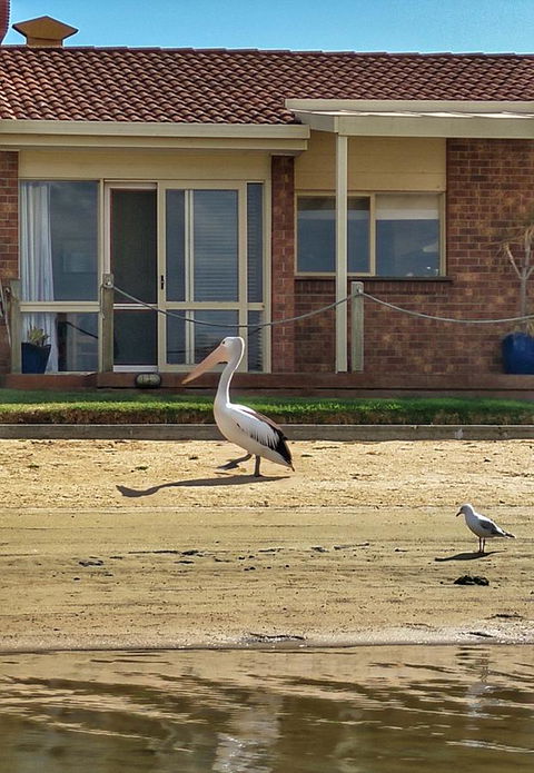 Waterfront Retreat - Events Australia 25