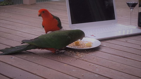 Wilsons Promontory Motel - Events Australia 12