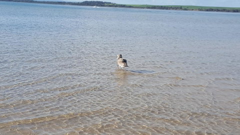 Wilsons Promontory Motel - Events Australia 35