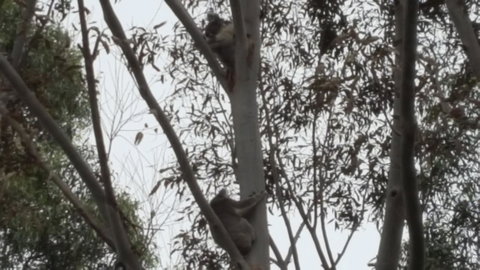 Wilsons Promontory Motel - Events Australia 28