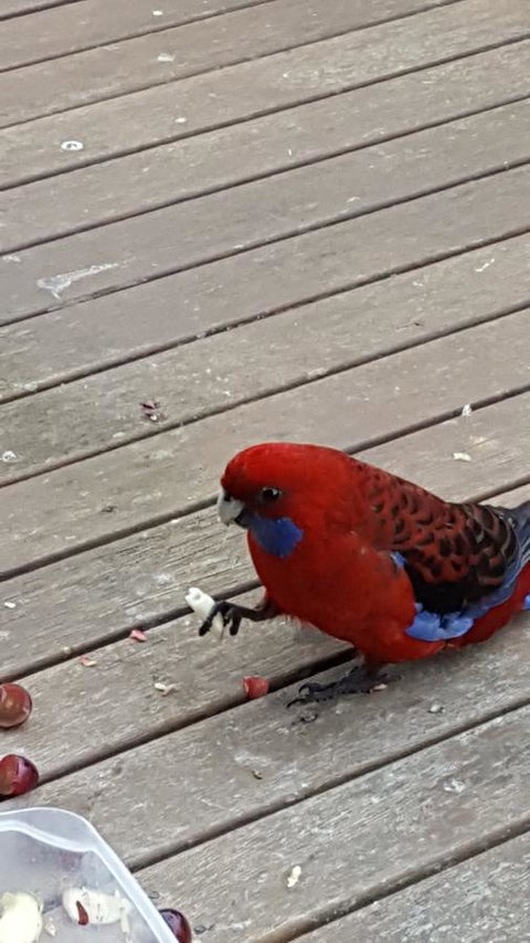 Wilsons Promontory Motel - Events Australia 24