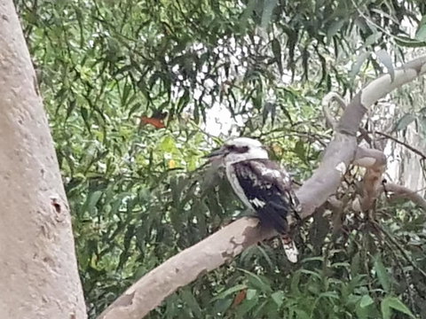 Wilsons Promontory Motel - Events Australia 26