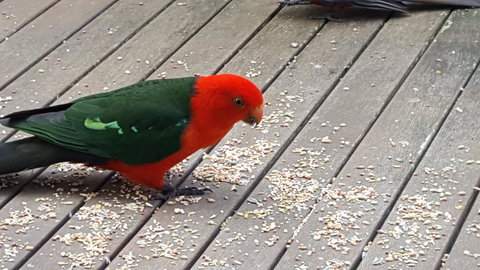 Wilsons Promontory Motel - Events Australia 27