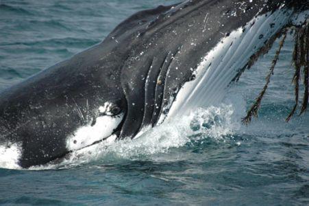 Wilsons Promontory Motel - Events Australia 42