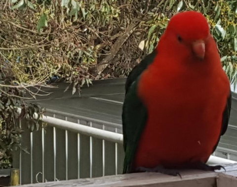 Wilsons Promontory Motel - Events Australia 23