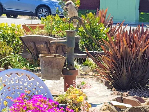 Wilsons Promontory Motel - Events Australia 8