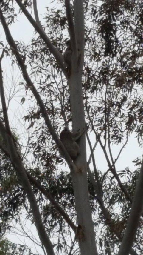 Wilsons Promontory Motel - Events Australia 29