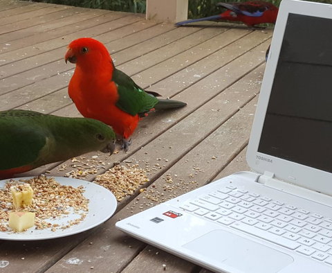 Wilsons Promontory Motel - Events Australia 0