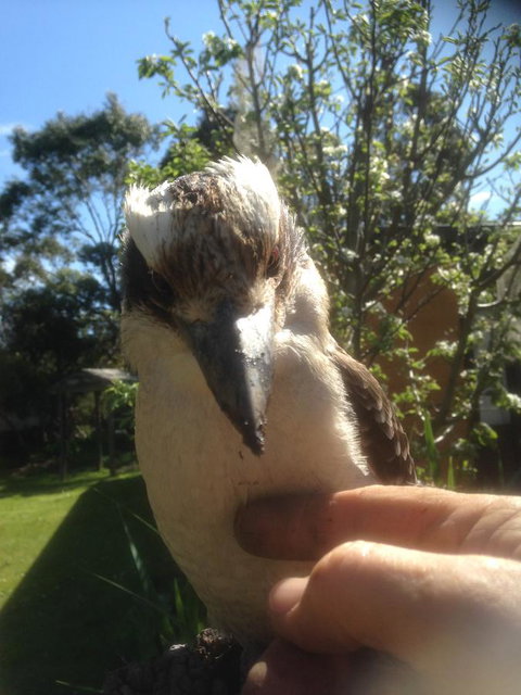 Mud Hollow Barn - Events Australia 8