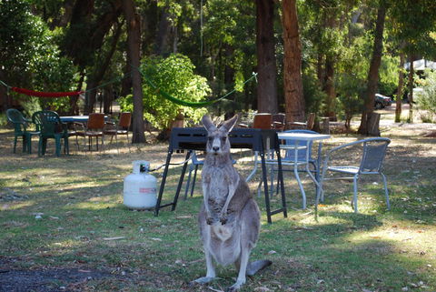 Gariwerd Motel - Tourism Bookings 26