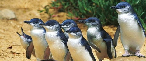 Quays Motel San Remo - Events Australia 22