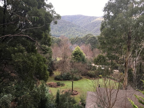 Shady Brook Cottages - Accommodation Europe 18