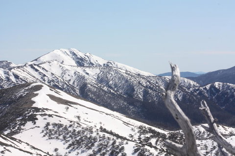 Shady Brook Cottages - Accommodation Europe 4