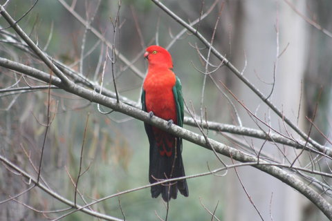 Shady Brook Cottages - Accommodation Europe 33