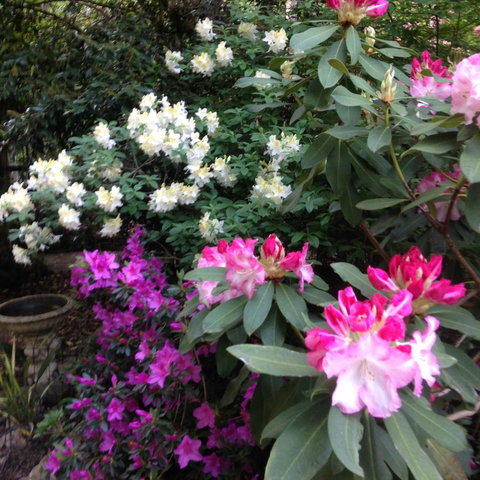 Shady Brook Cottages - Accommodation Europe 10